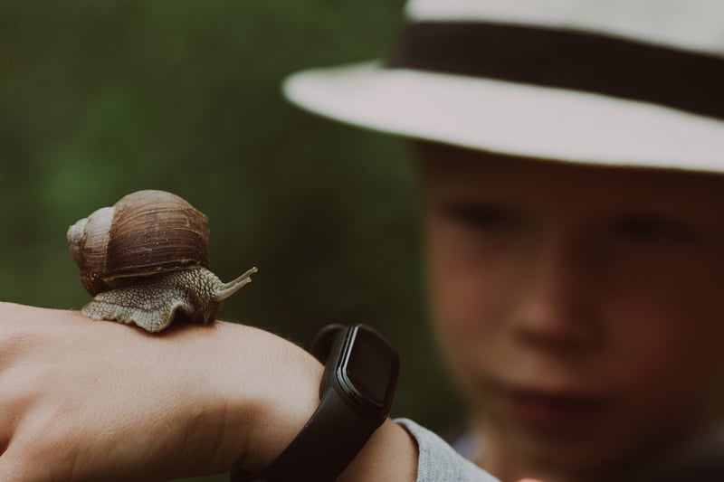 Hands holding a camera